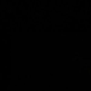 Meet your Posher, Jasmin